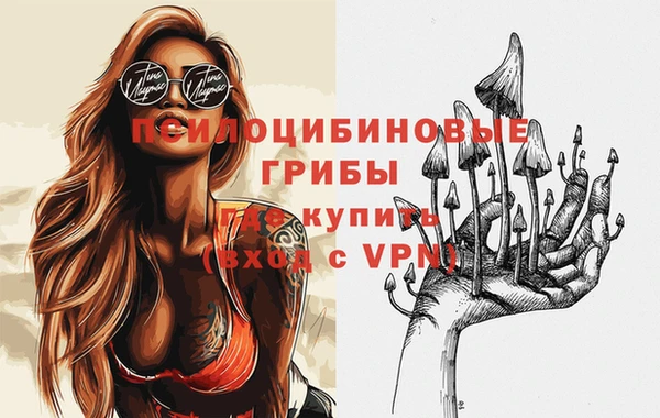 ПСИЛОЦИБИНОВЫЕ ГРИБЫ Лиски