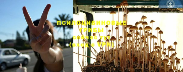 скорость Липки