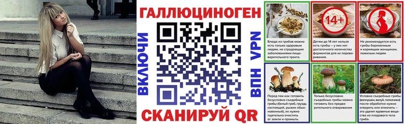 Галлюциногенные грибы GOLDEN TEACHER  Купить где  Дятьково 
