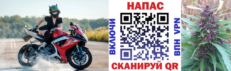 Купить  Дятьково  Конопля ГИДРОПОН 